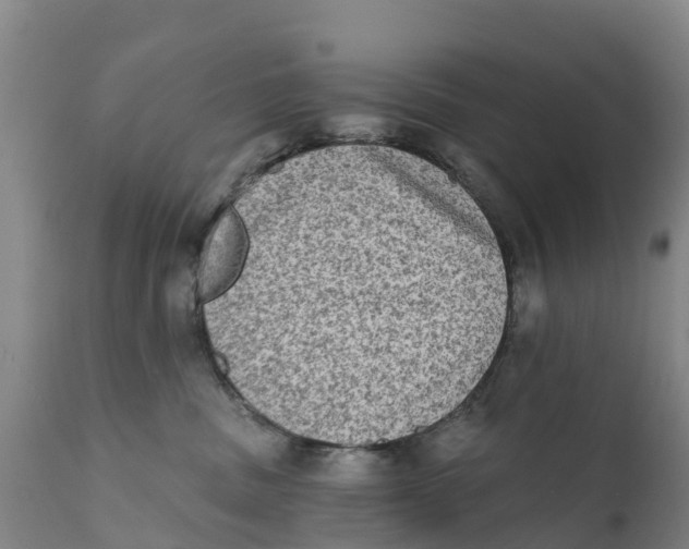 X0000111800379200908131442