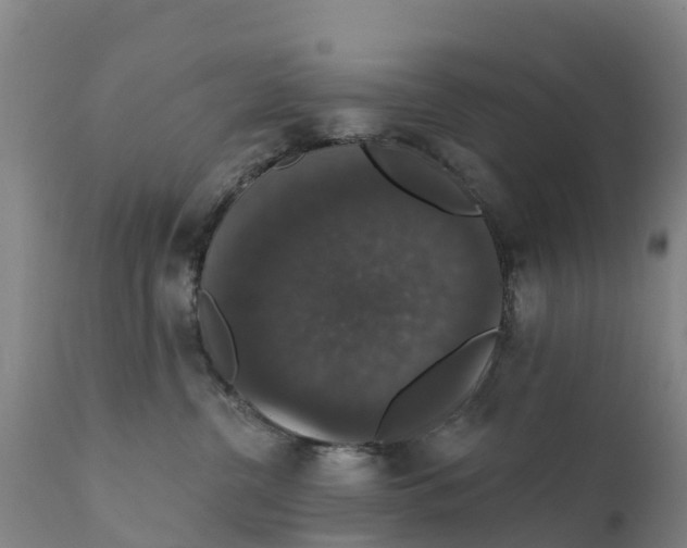 X0000111800380200908131442