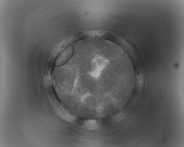 X0000111800381200908131442
