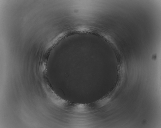 X0000111800382200908131442