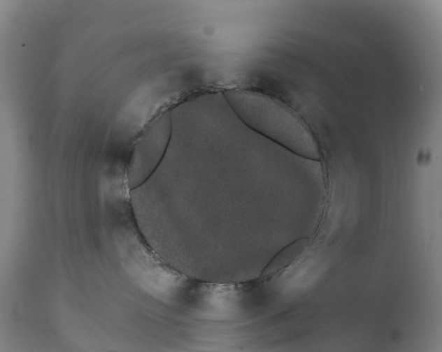X0000111800384200908131442