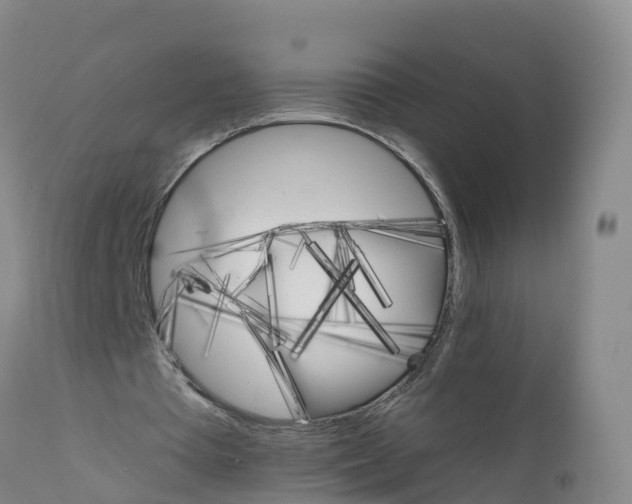 X0000111800385200908131441