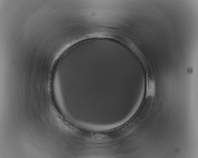 X0000111800387200908131441