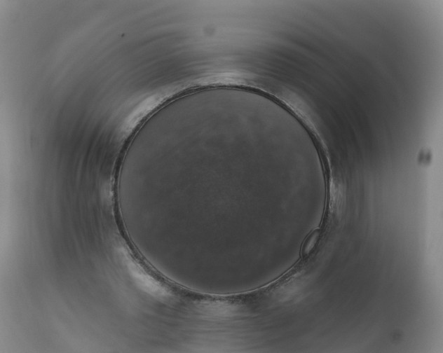 X0000111800389200908131441