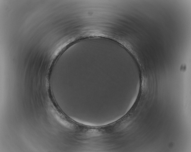 X0000111800390200908131441