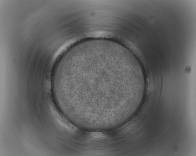 X0000111800392200908131441