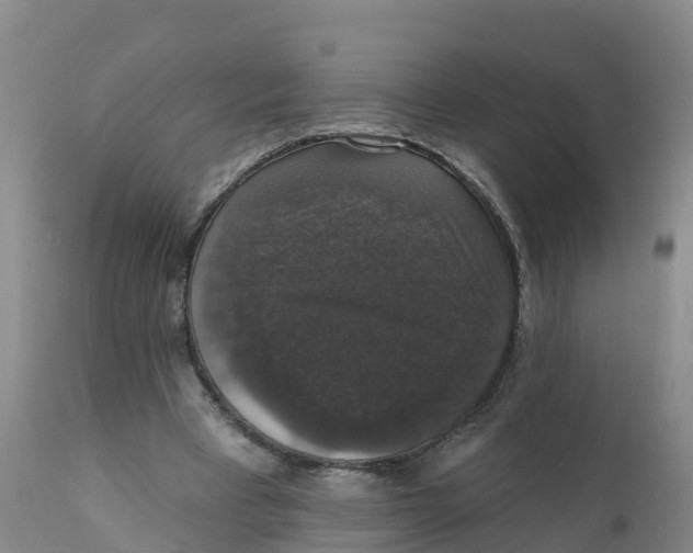X0000111800393200908131441