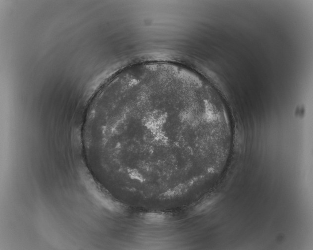 X0000111800394200908131441