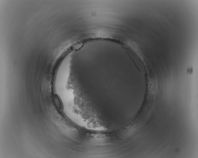 X0000111800395200908131441
