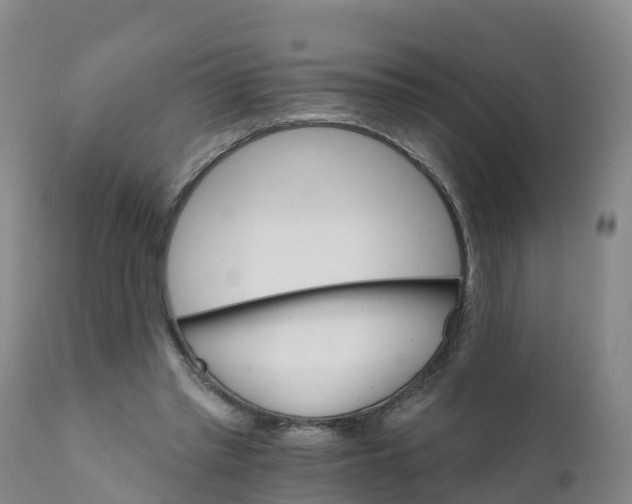 X0000111800397200908131441