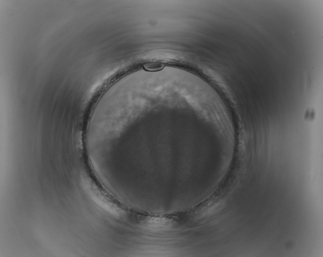 X0000111800399200908131441