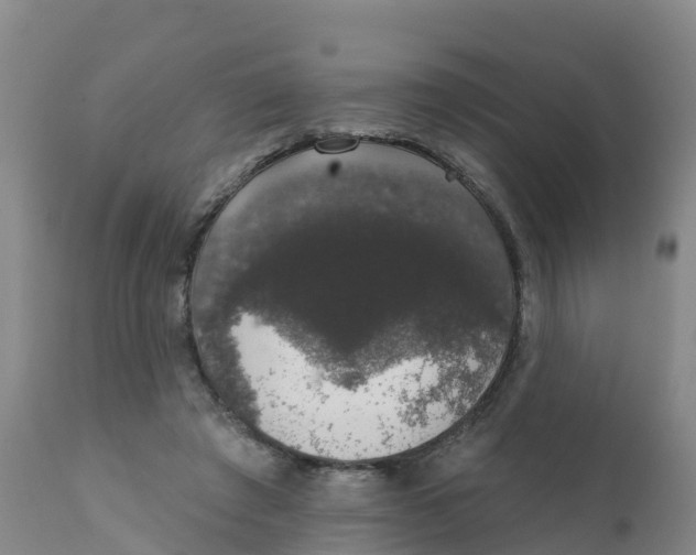 X0000111800401200908131441