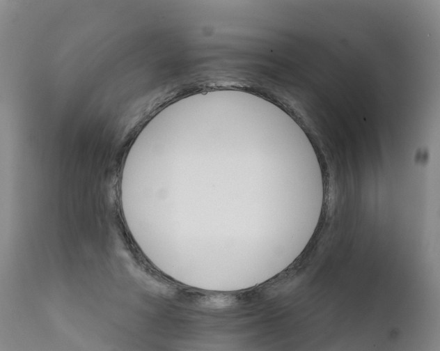 X0000111800402200908131441