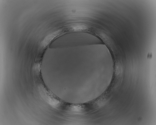 X0000111800405200908131441