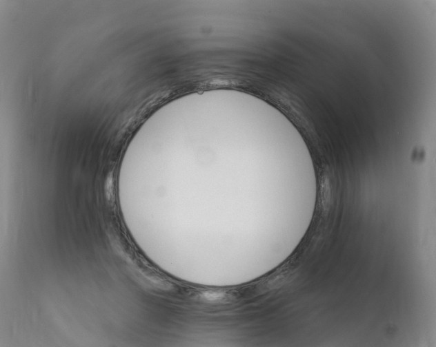 X0000111800406200908131441