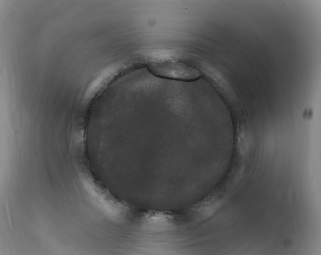 X0000111800407200908131441