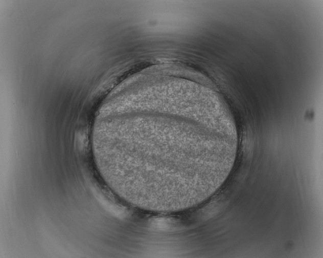 X0000111800408200908131441