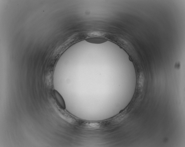X0000111800409200908131441