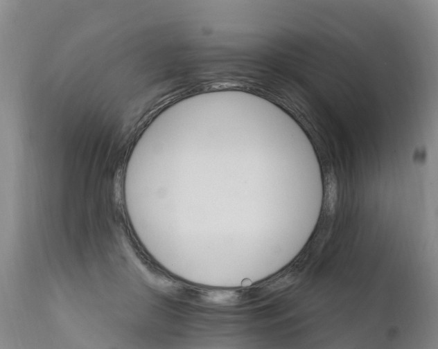 X0000111800410200908131441