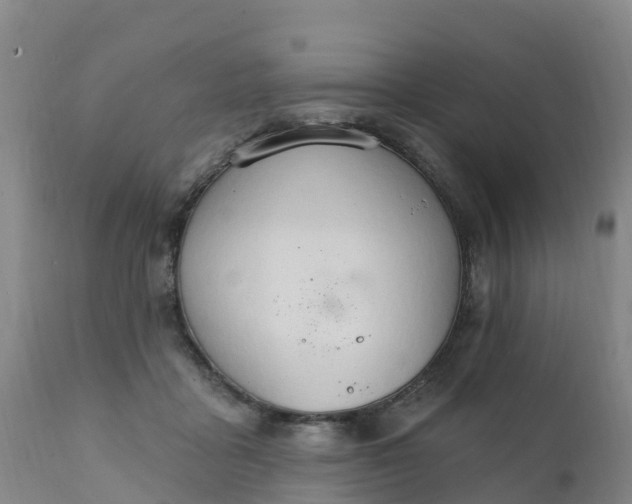 X0000111800411200908131441