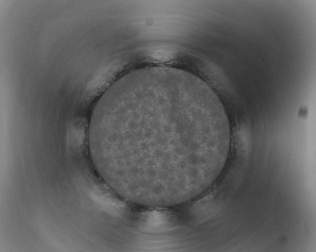 X0000111800412200908131441