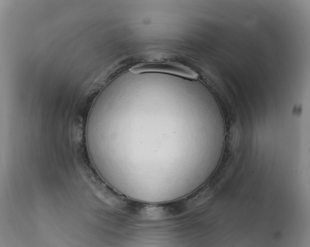 X0000111800413200908131441