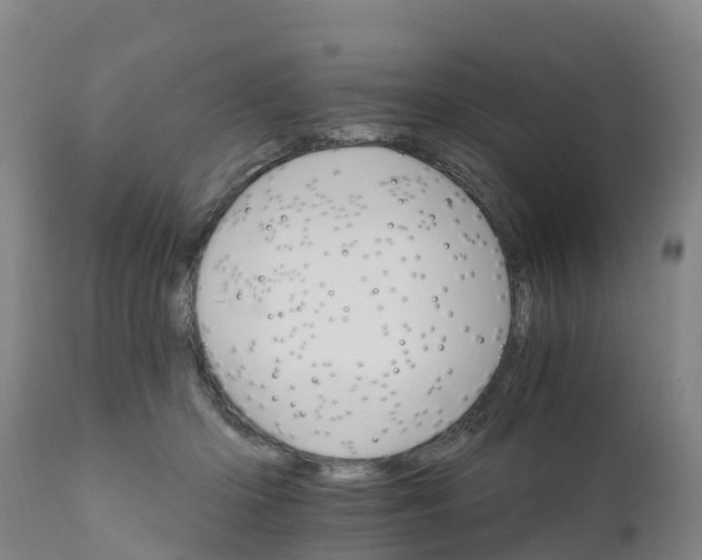 X0000111800414200908131441