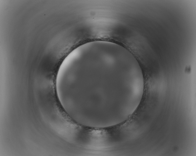 X0000111800415200908131441