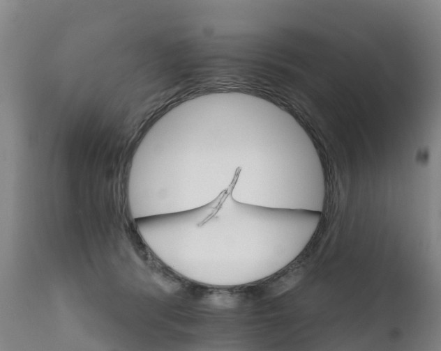 X0000111800416200908131441