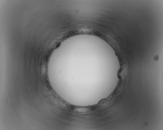 X0000111800417200908131441