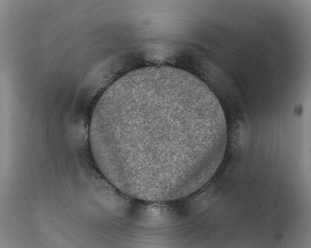 X0000111800420200908131441