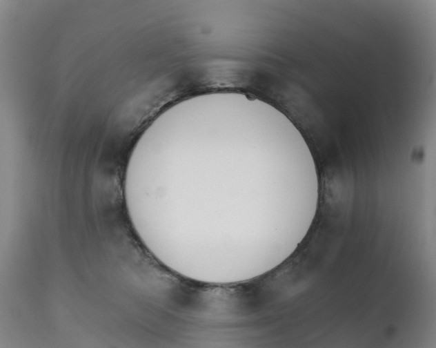 X0000111800422200908131441