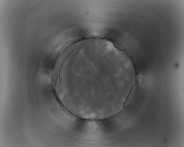 X0000111800423200908131440