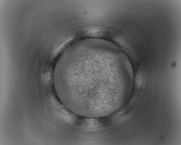 X0000111800424200908131440