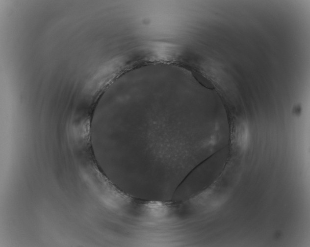 X0000111800425200908131440