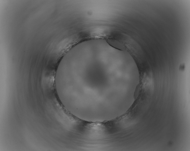 X0000111800427200908131440