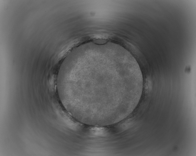 X0000111800428200908131440