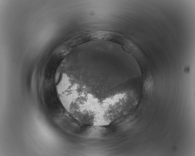 X0000111800429200908131440