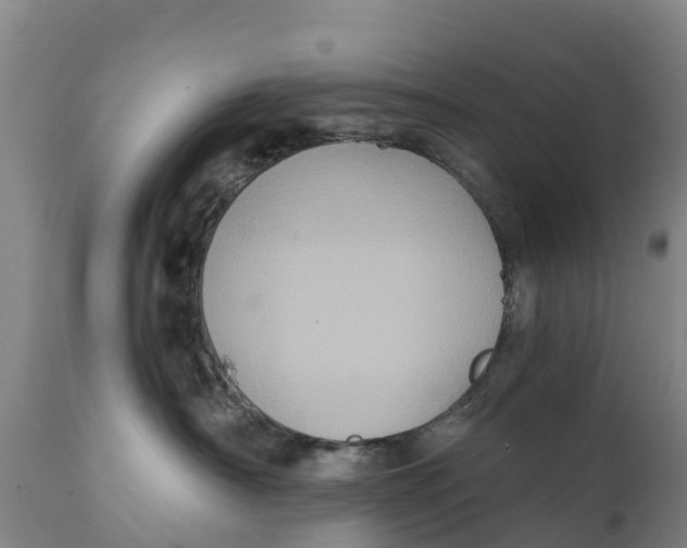 X0000111800430200908131440