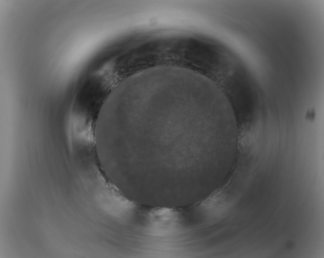 X0000111800431200908131440