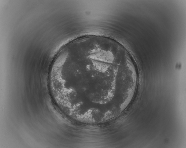 X0000111800434200908131440