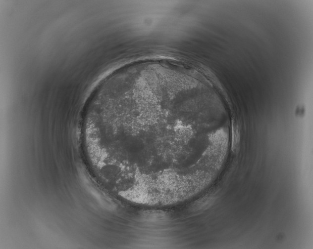 X0000111800435200908131440