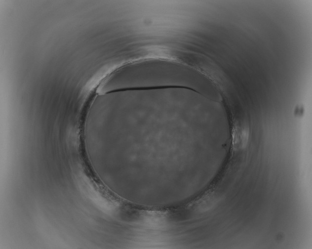 X0000111800436200908131440