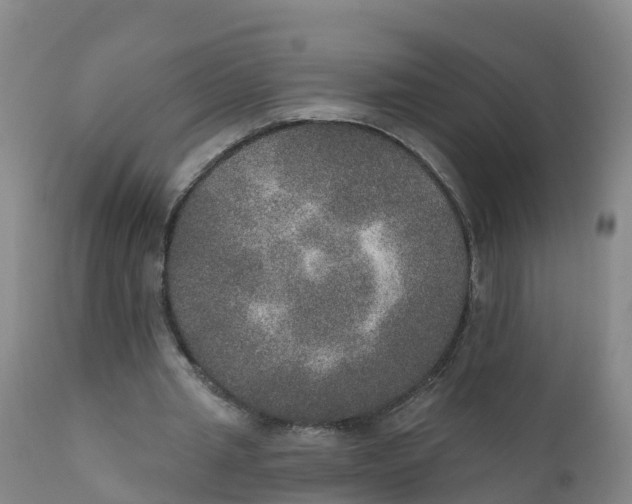 X0000111800437200908131440