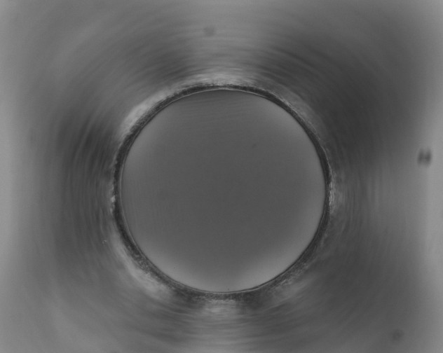 X0000111800438200908131440