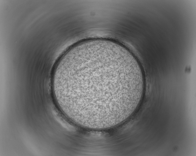 X0000111800439200908131440