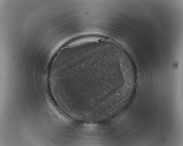 X0000111800440200908131440