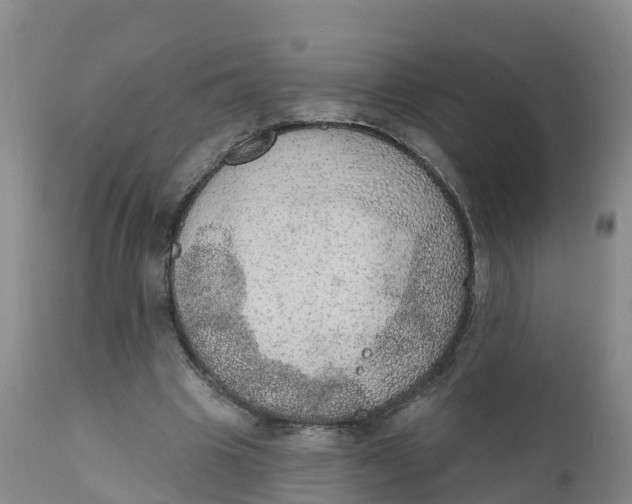 X0000111800441200908131440