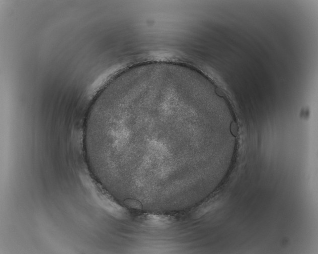 X0000111800442200908131440