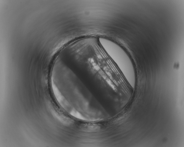 X0000111800443200908131440